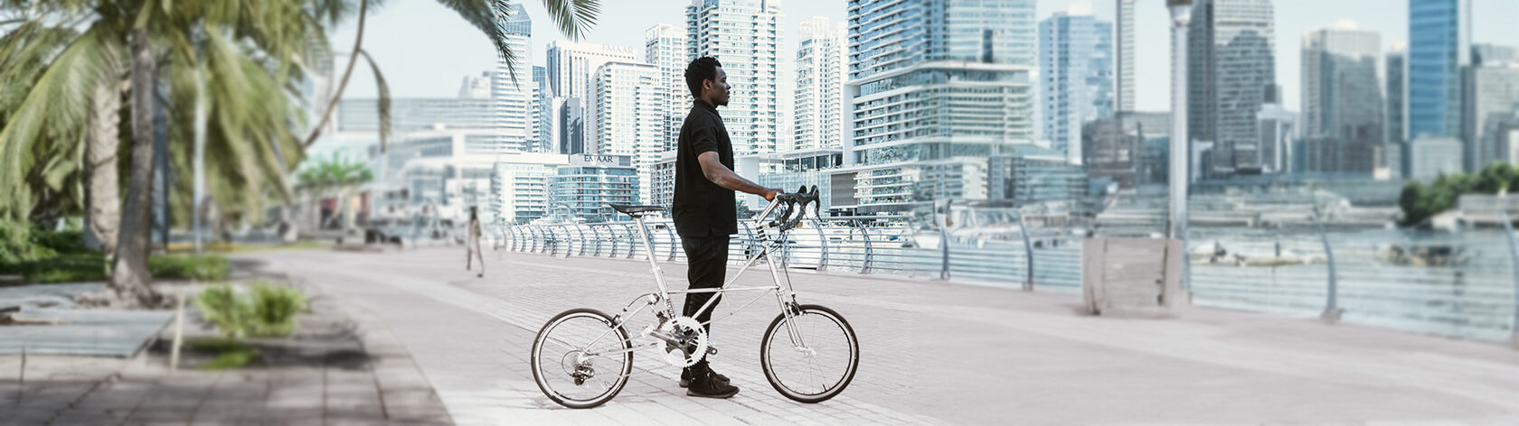 Велосипед Moulton Speed
