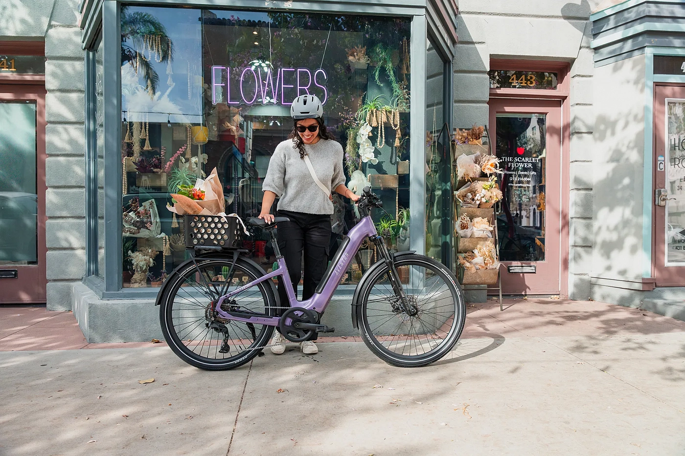 Электровелосипед Aventon Level 4 ADV ST Matte Black LG