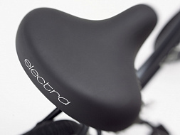 Велосипед Townie Path 9D EQ Step Thru Aurora Metallic