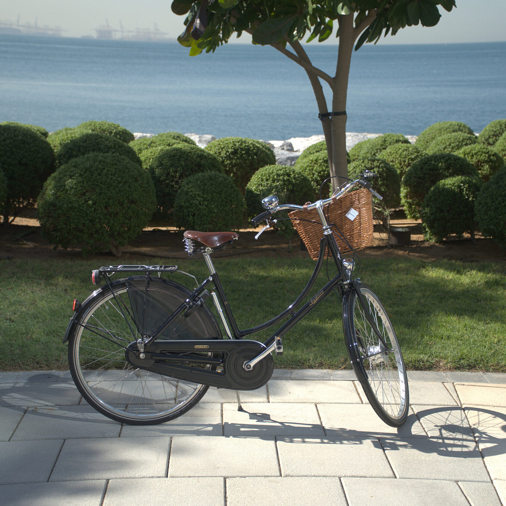 Велосипед Pashley Princess Sovereign 5 Green 22"