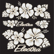 Набор наклеек Electra Sticker Set Hawaii Flower