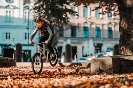 Детский велосипед Early Rider Belter Brushed Aluminium 20"